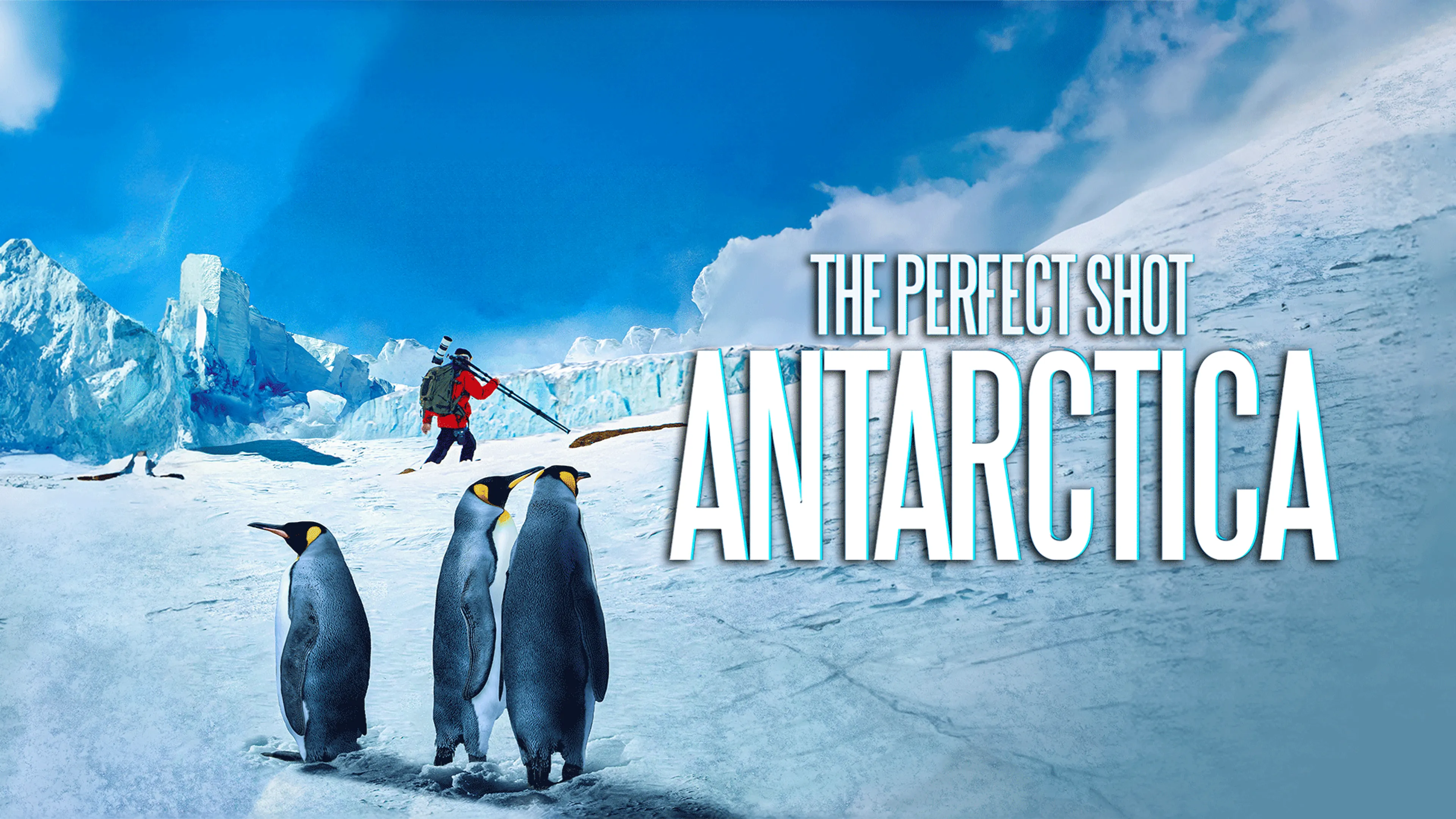 The Perfect Shot: Antarctica poster